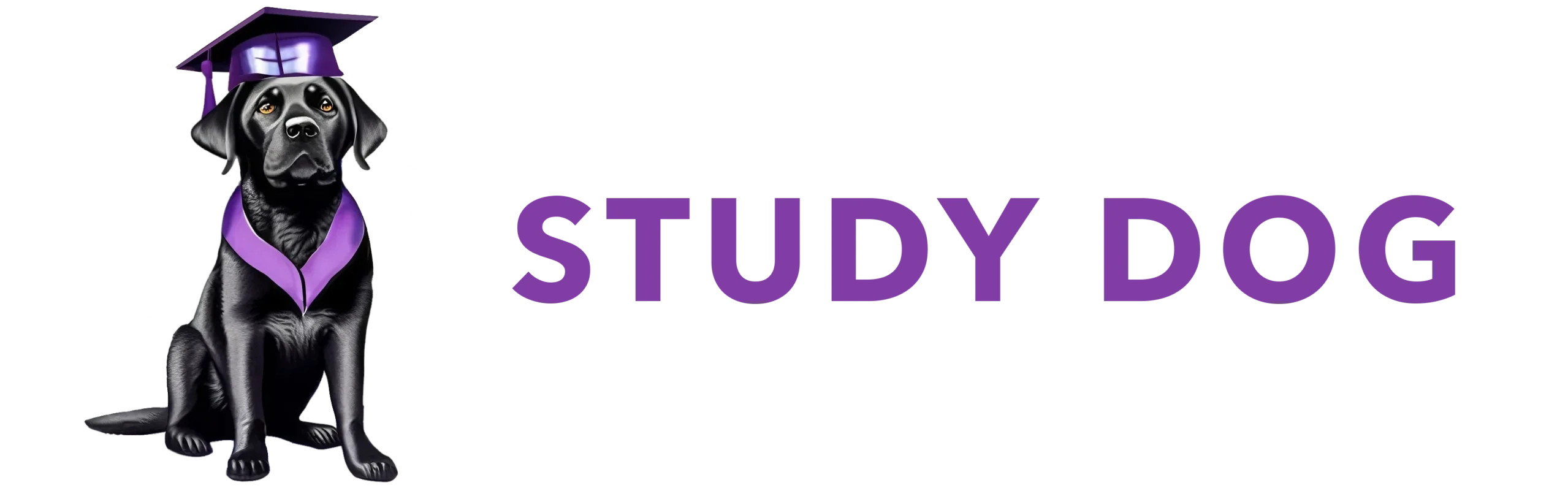 dev.studydog.co.uk